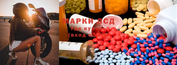 гидропоника Алзамай
